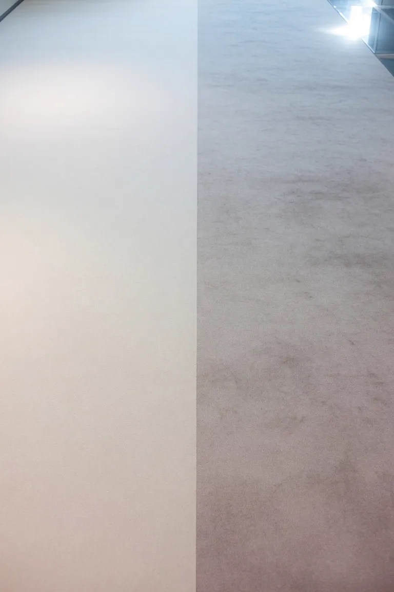 Frisch gereinigter Teppich in hellem Büro (KI-generiertes Symbolbild)
